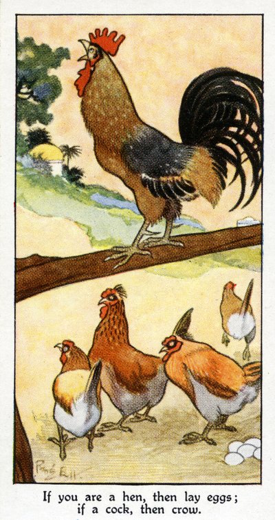 「もしあなたが雌鶏なら、産卵します。コックなら、カラス &39;、1931（498193も参照） 作： René Bull